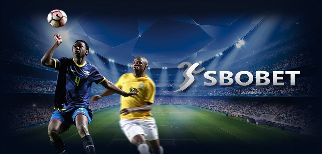 Top Features to Look for in a Sbobet88 Agent